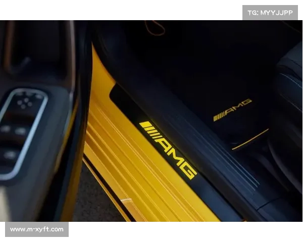 梅赛德斯-AMG与慕尼黑工业大学合作开设电动动力系统硕士课程